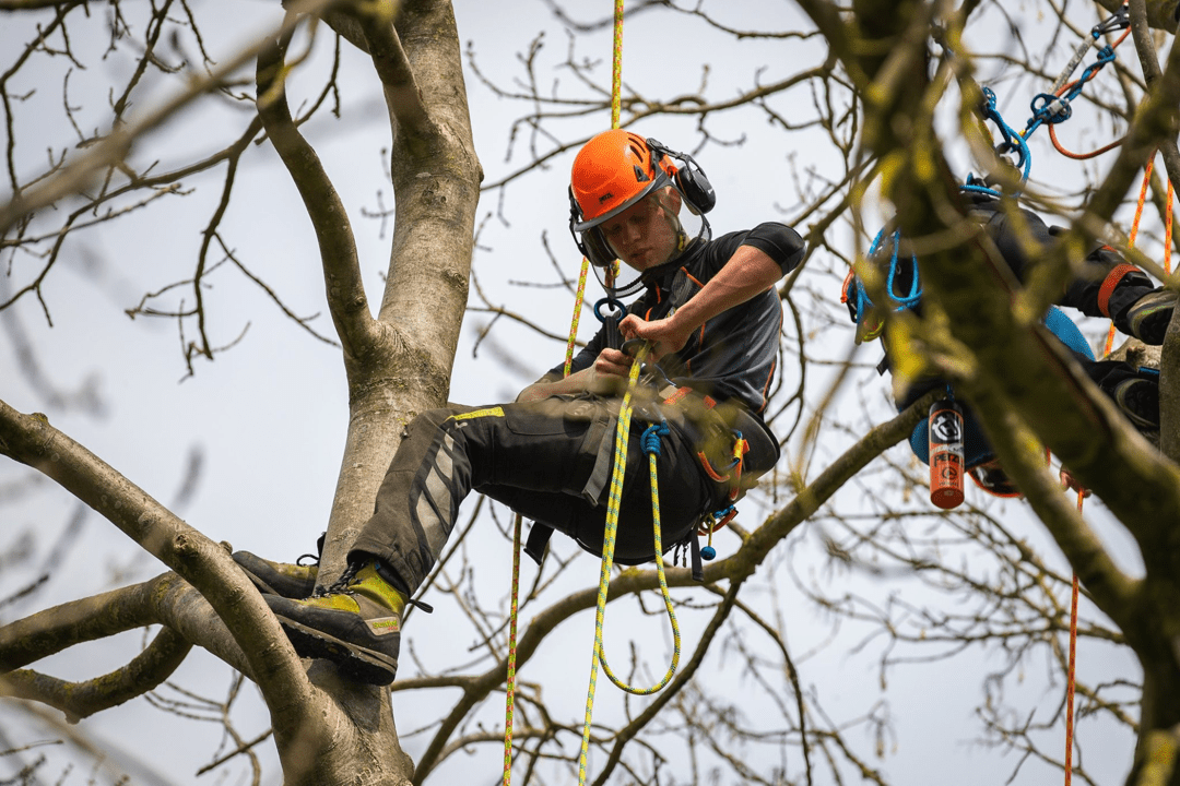 3ATC Northern College Climbing Comp - Arbortec Forestwear