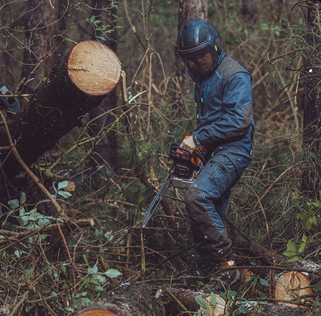 International Day of Forests: Good Forestry Vs Bad Forestry - Arbortec Forestwear