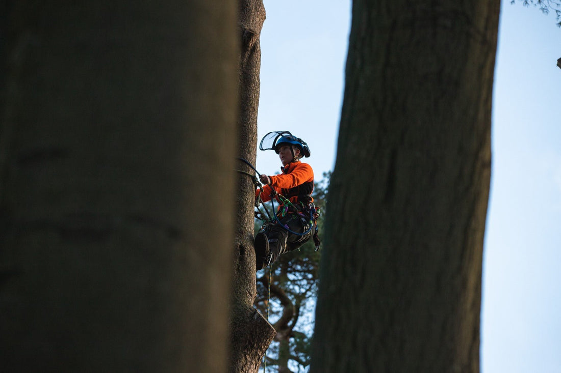 Latest Collaboration - Arbortec Forestwear