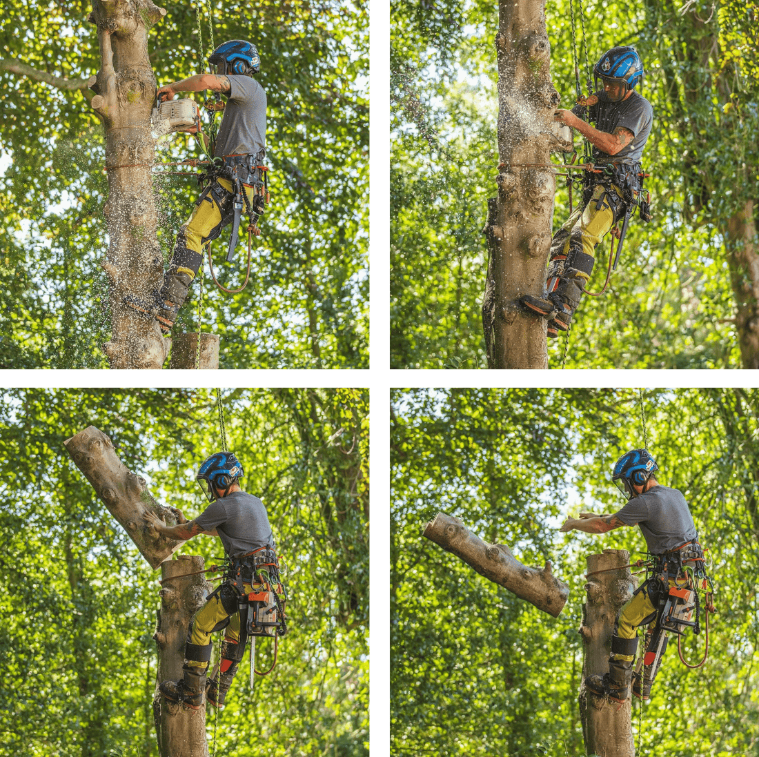 Breathflex Pro Natural - Arbortec Forestwear