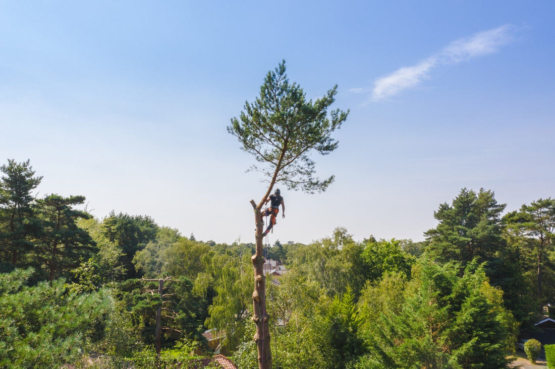 Another Great One... - Arbortec Forestwear