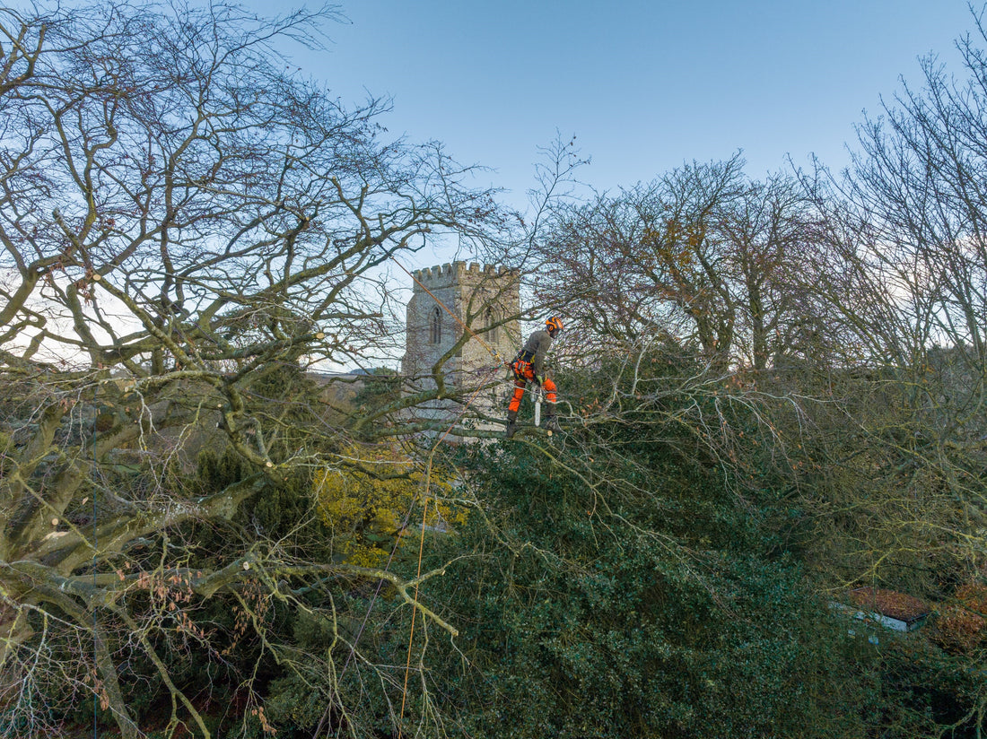 Arbortec in collaboration with Realtree - Arbortec Forestwear