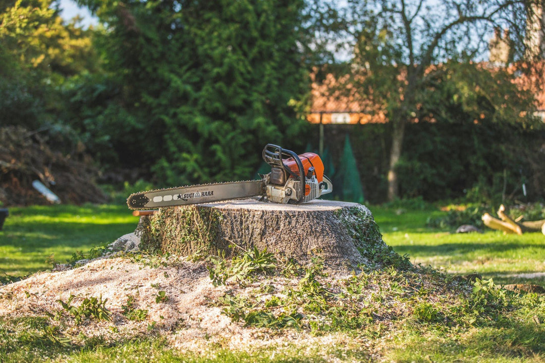 Browns Tree Management - A Week on the Tools Part 3 - Arbortec Forestwear