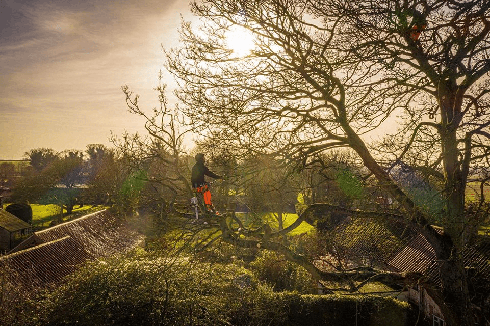 Roll On Spring - Arbortec Forestwear