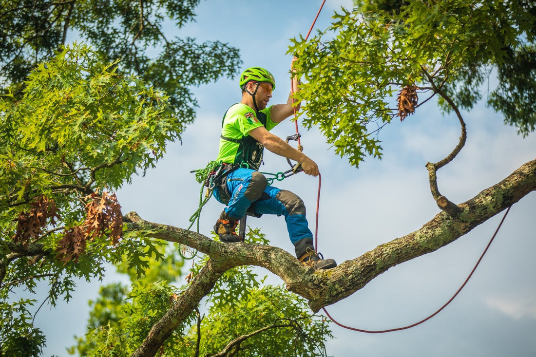 ITCC Knoxville - Arbortec Forestwear