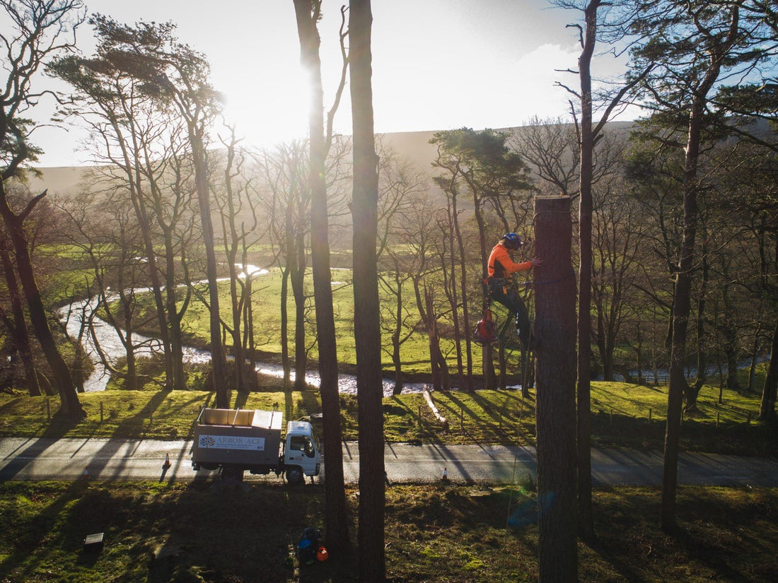 Arb Life - Featuring Katie Faulconbridge - Arbortec Forestwear
