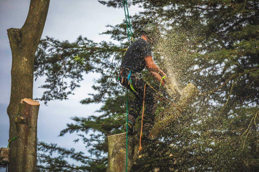 Browns Tree Management - A Week on the Tools Part 1 - Arbortec Forestwear