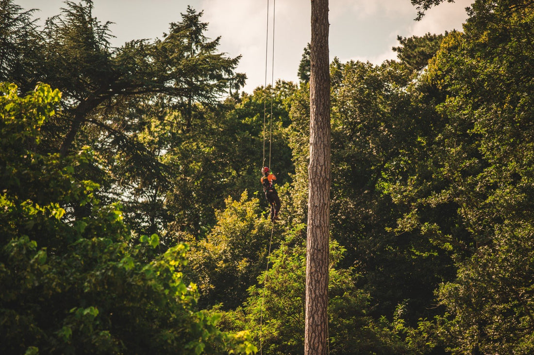 Shots From The Canopy - Arbortec Forestwear