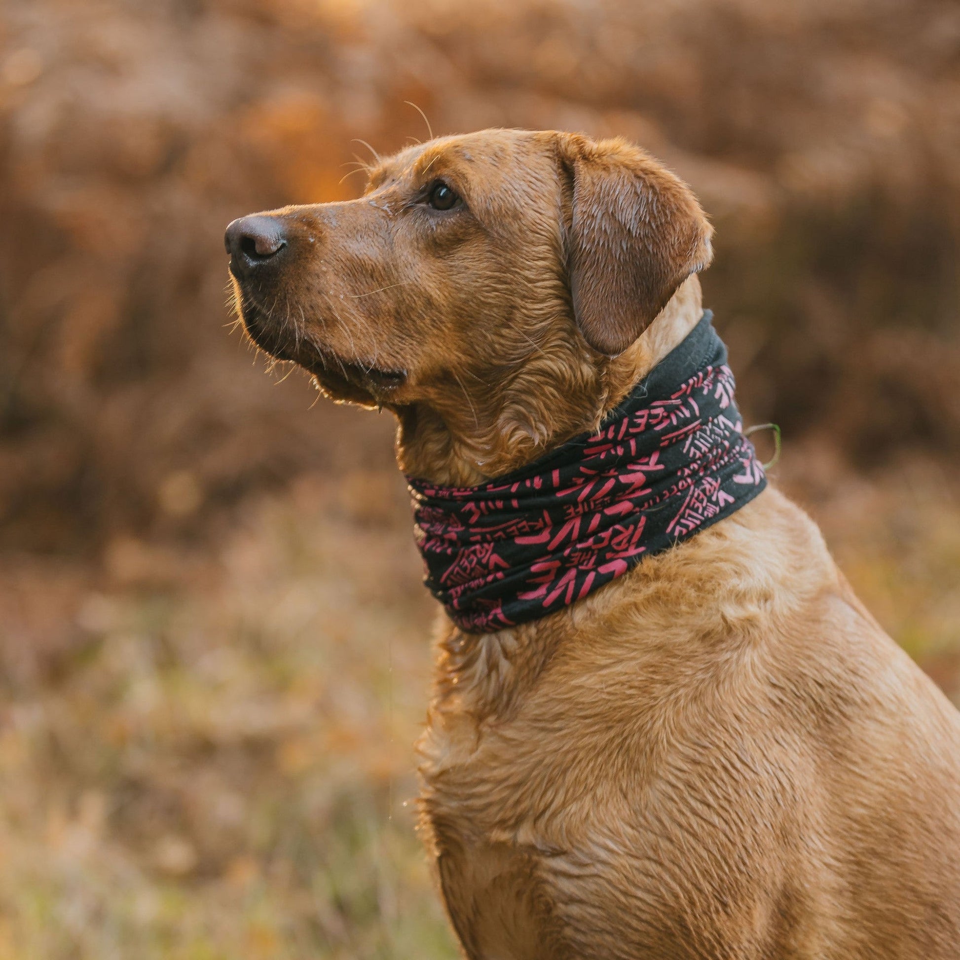 AT048 Arbortec LTTL Neck Snood - Arbortec Forestwear
