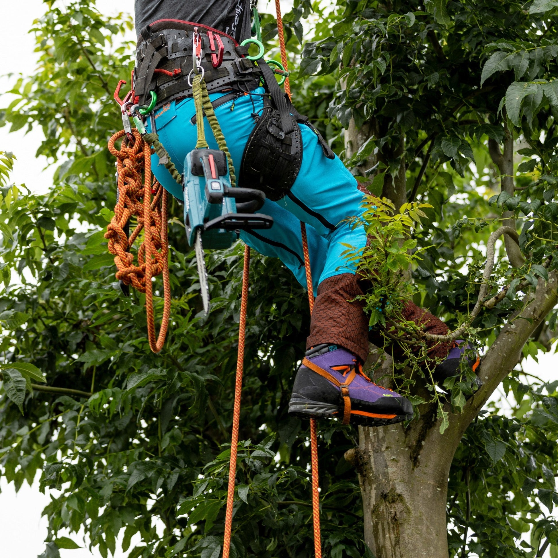 AT34000 Kayo Chainsaw Protective Climbing Boots – Purple - Arbortec Forestwear