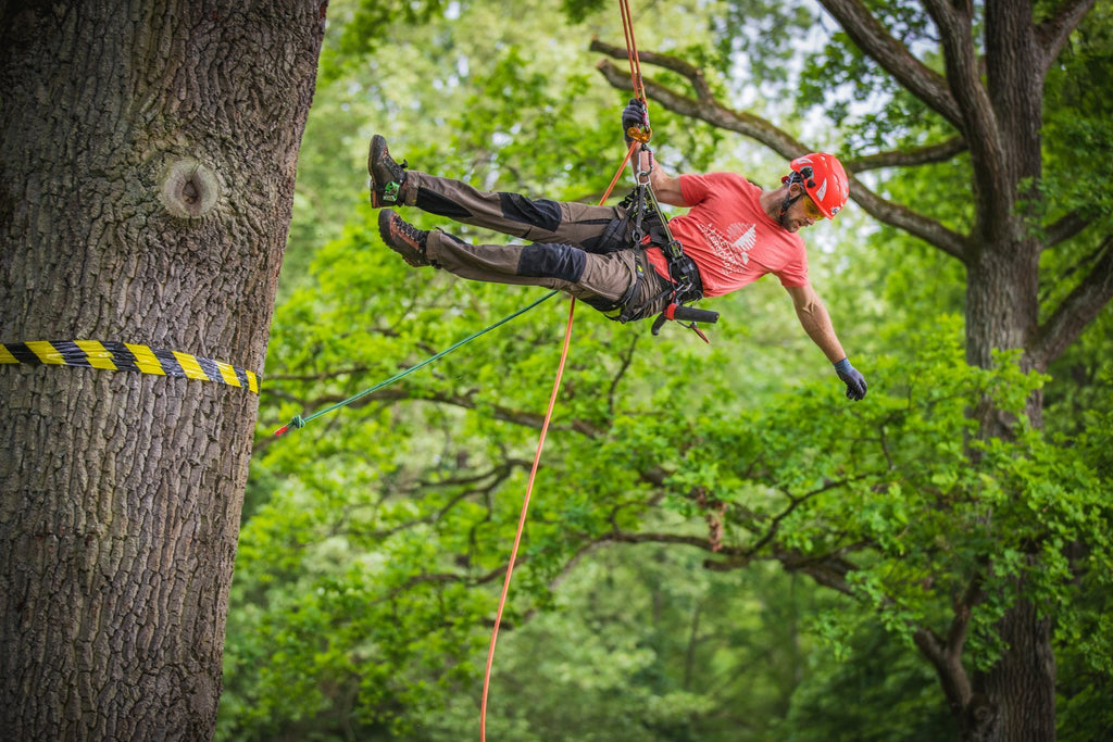 Tree Climbing - The Extreme Sport - Arbortec Forestwear