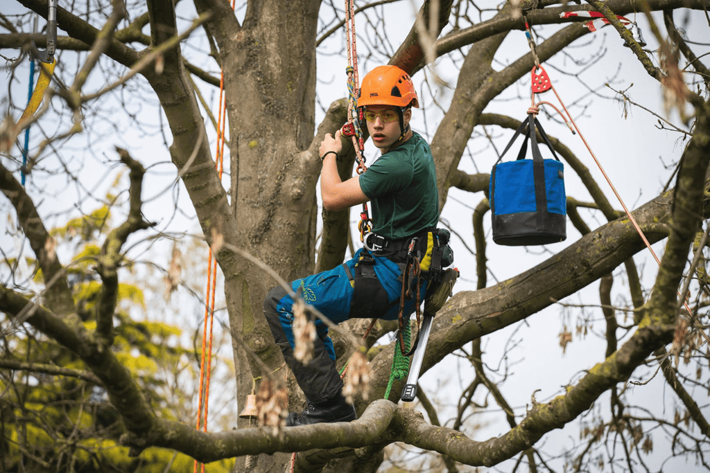 3ATC Climbing Competition - Arbortec Forestwear