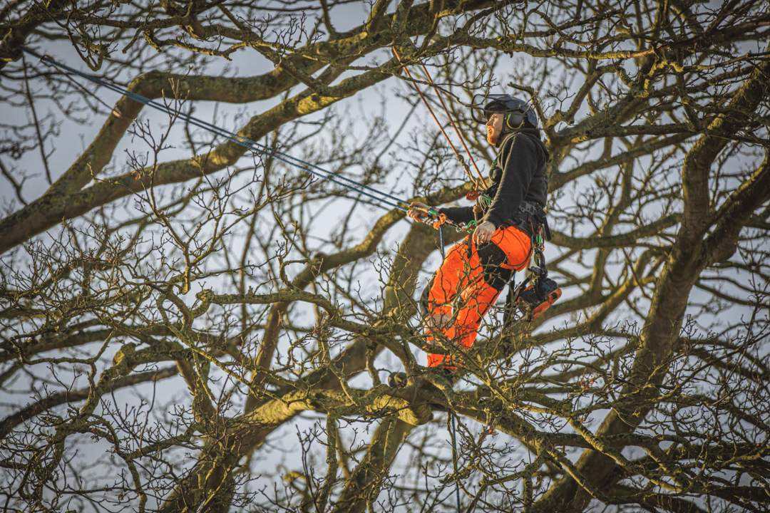 Climbers In The Mist - Arbortec Forestwear