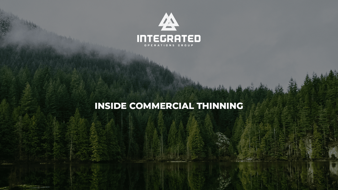 Building Resilient Forests: Inside Commercial Thinning with Arbortec’s Partner Integrated Operations Group - Arbortec Forestwear