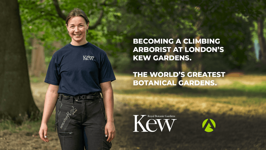Inspire Series: Becoming a Climbing Arborist at London’s Kew Gardens, the World’s Greatest Botanical Garden - Arbortec Forestwear