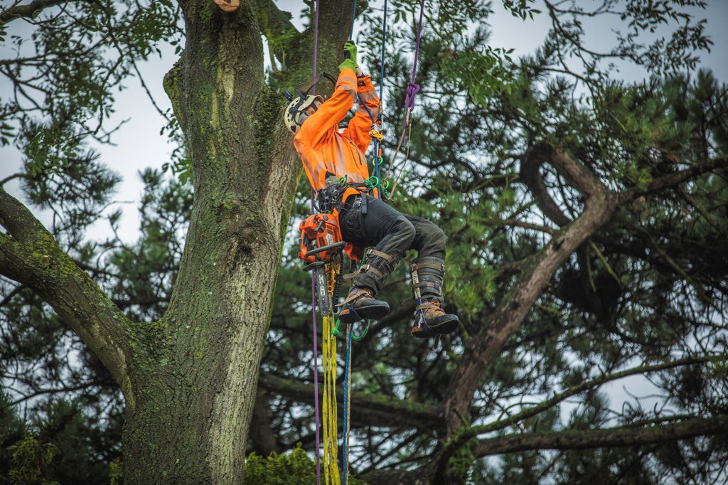 Browns Tree Management - A Week on the Tools Part 2 - Arbortec Forestwear
