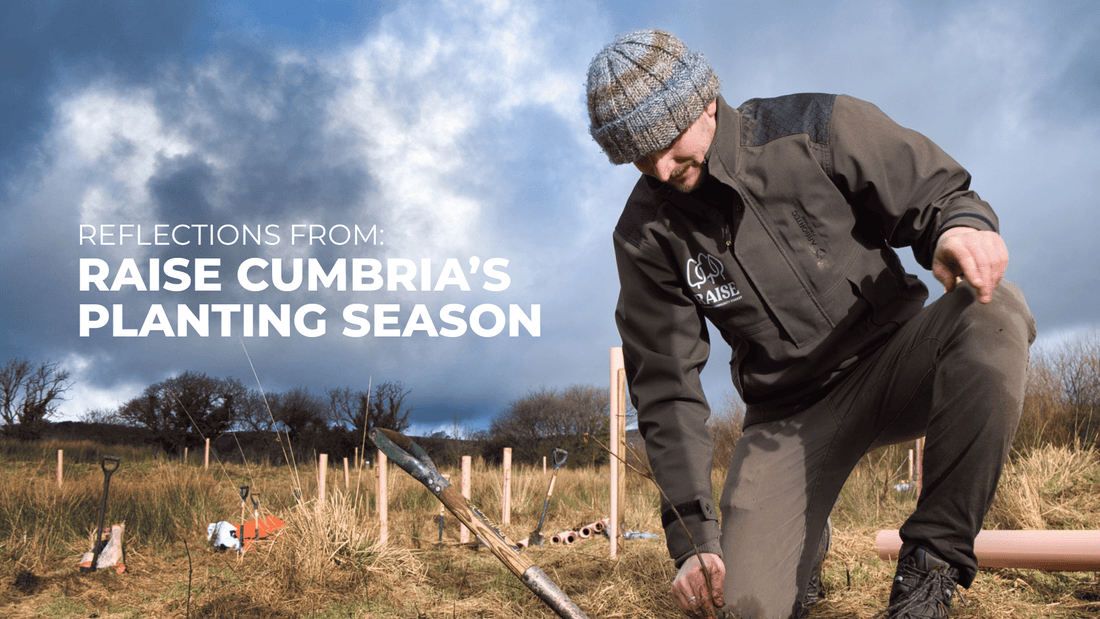Raise: Cumbria Community Forest — Reflections from Planting Season - Arbortec Forestwear