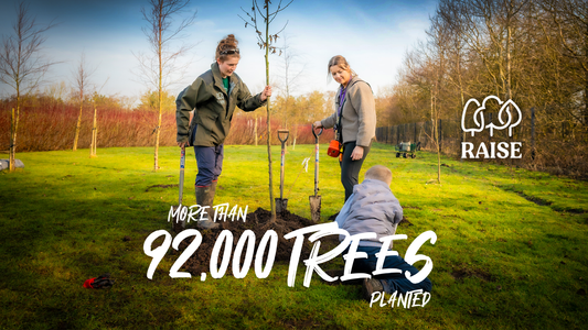 Raise Plants Over 92,000 Trees Across Cumbria During 2025–26 Planting Season - Arbortec Forestwear