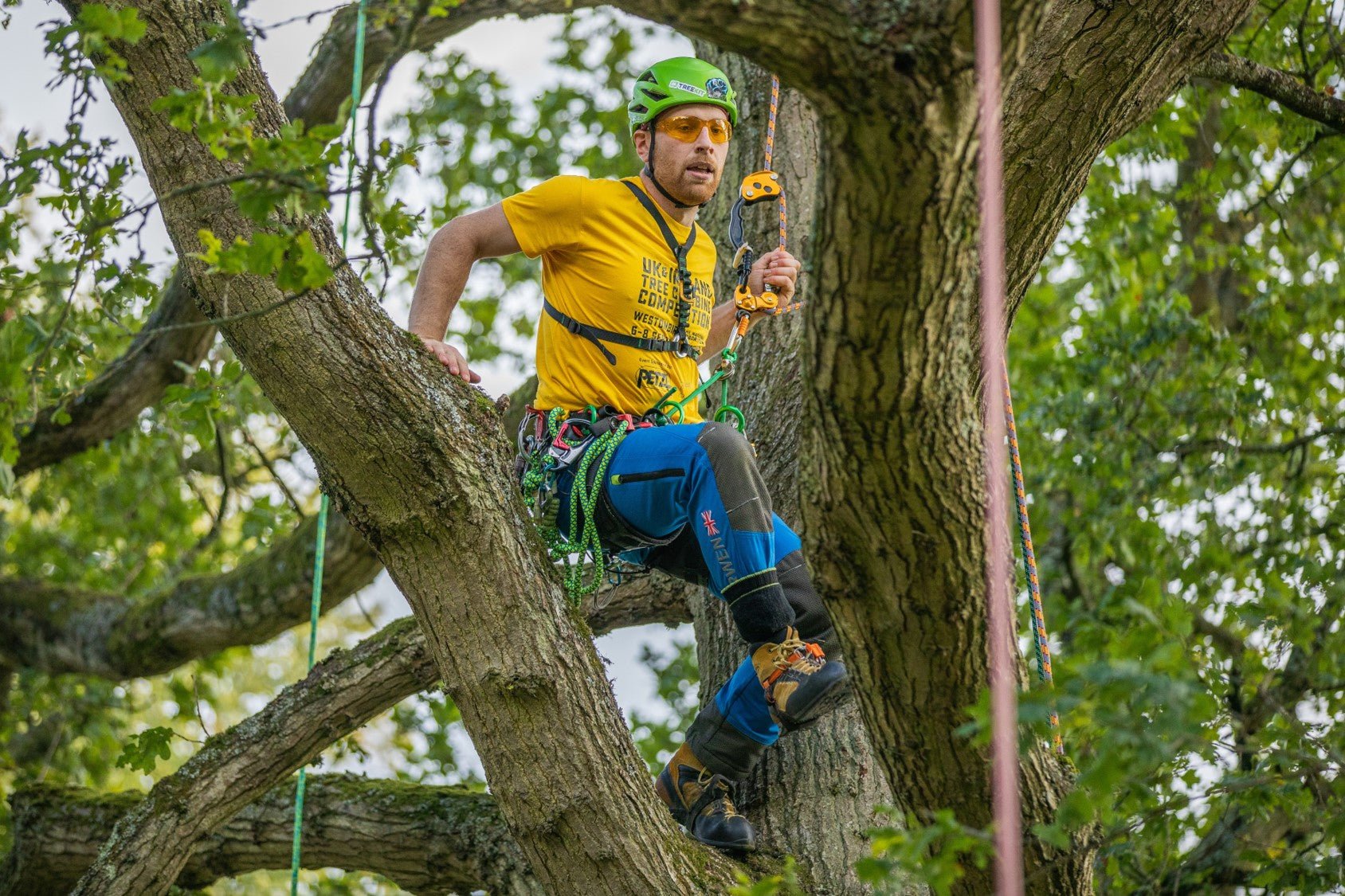 UK and Ireland Tree Climbing Championships