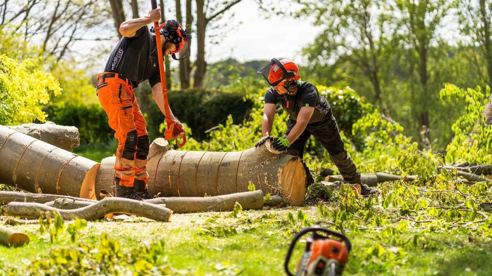 Pantalons anti-coupure - Arbortec Forestwear