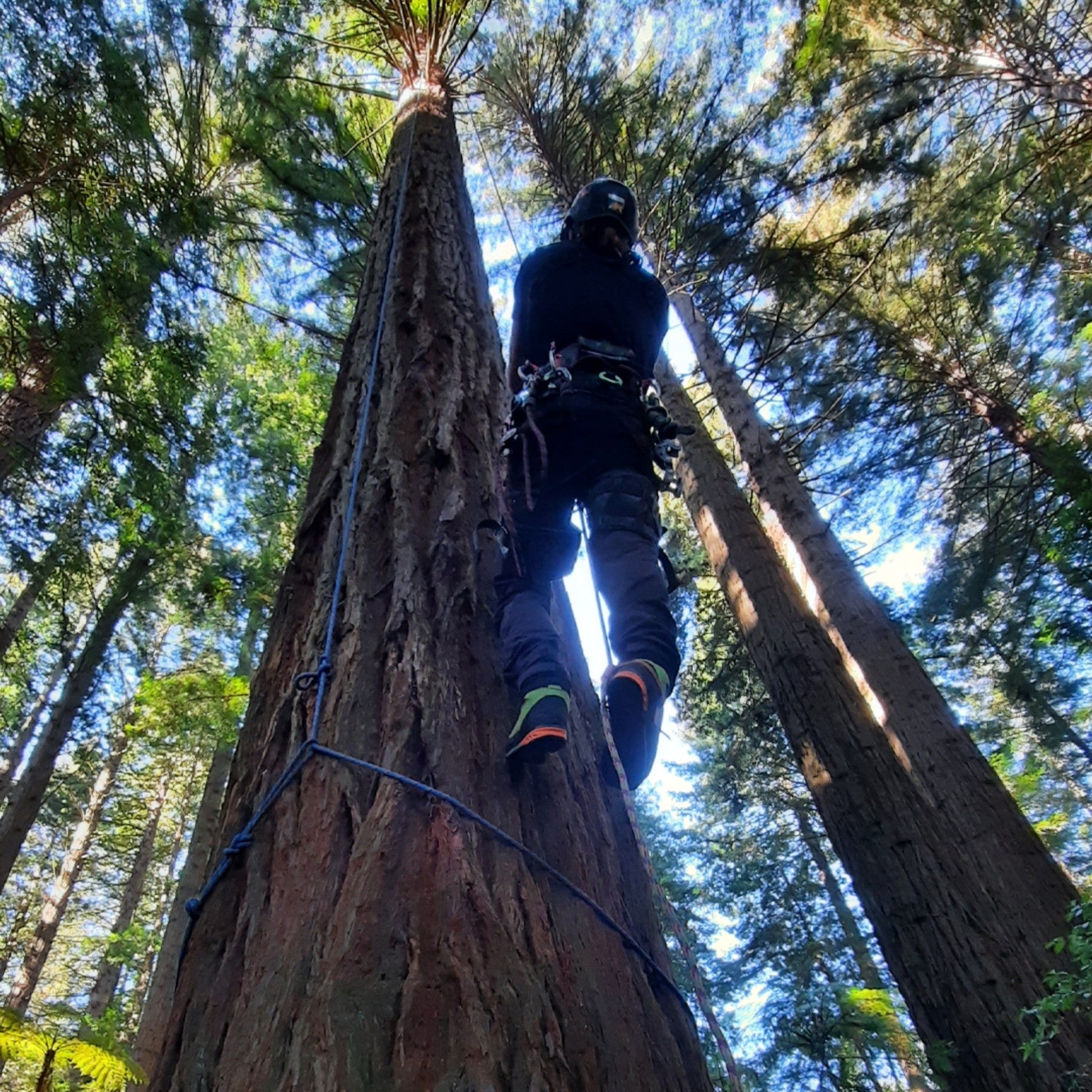 AT34000 Kayo Chainsaw Protective Climbing Boots – Lime - Arbortec Forestwear