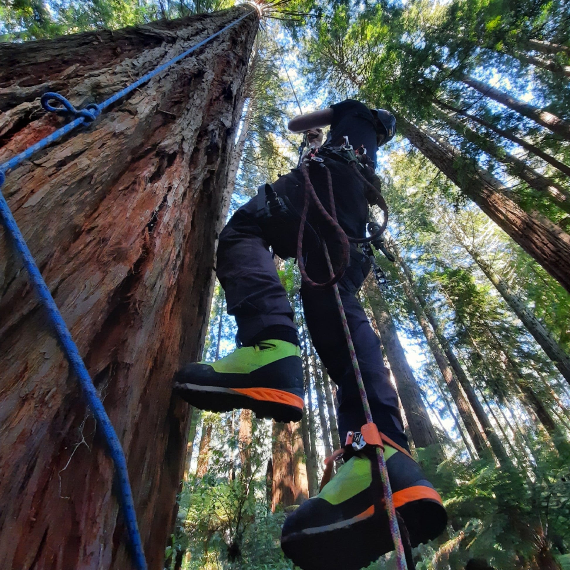 AT34000 Kayo Chainsaw Protective Climbing Boots – Lime - Arbortec Forestwear