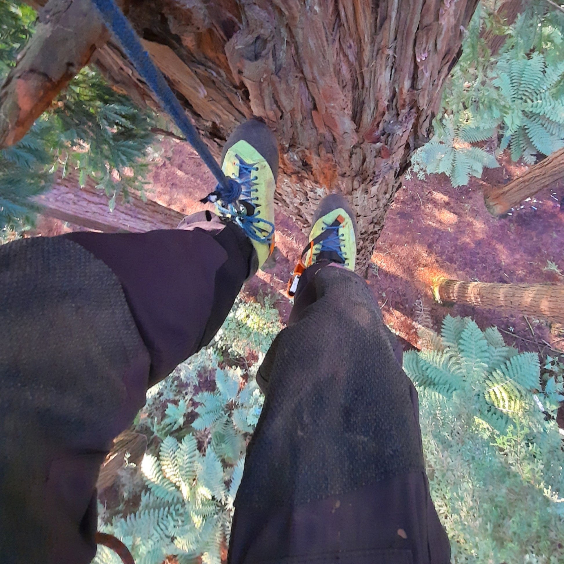 AT34000 Kayo Chainsaw Protective Climbing Boots – Lime - Arbortec Forestwear