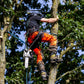 AT4060 UL - Breatheflex Pro Realtree Chainsaw Pants Design A/Class 1 - Orange - Arbortec Forestwear
