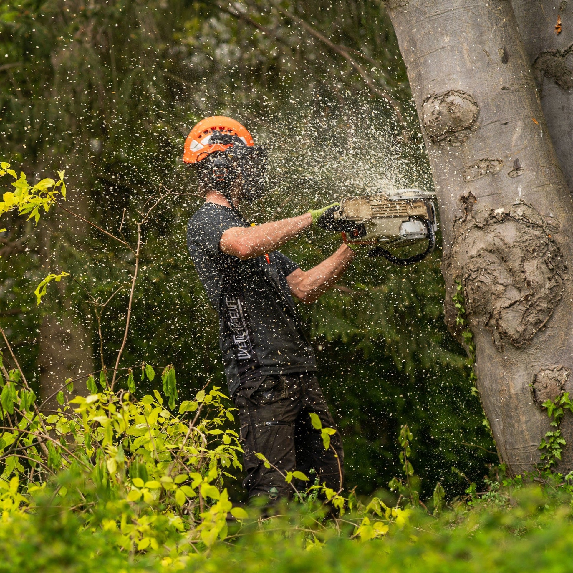 AT5002 Performance T-Shirt Short Sleeve - Black - Arbortec Forestwear