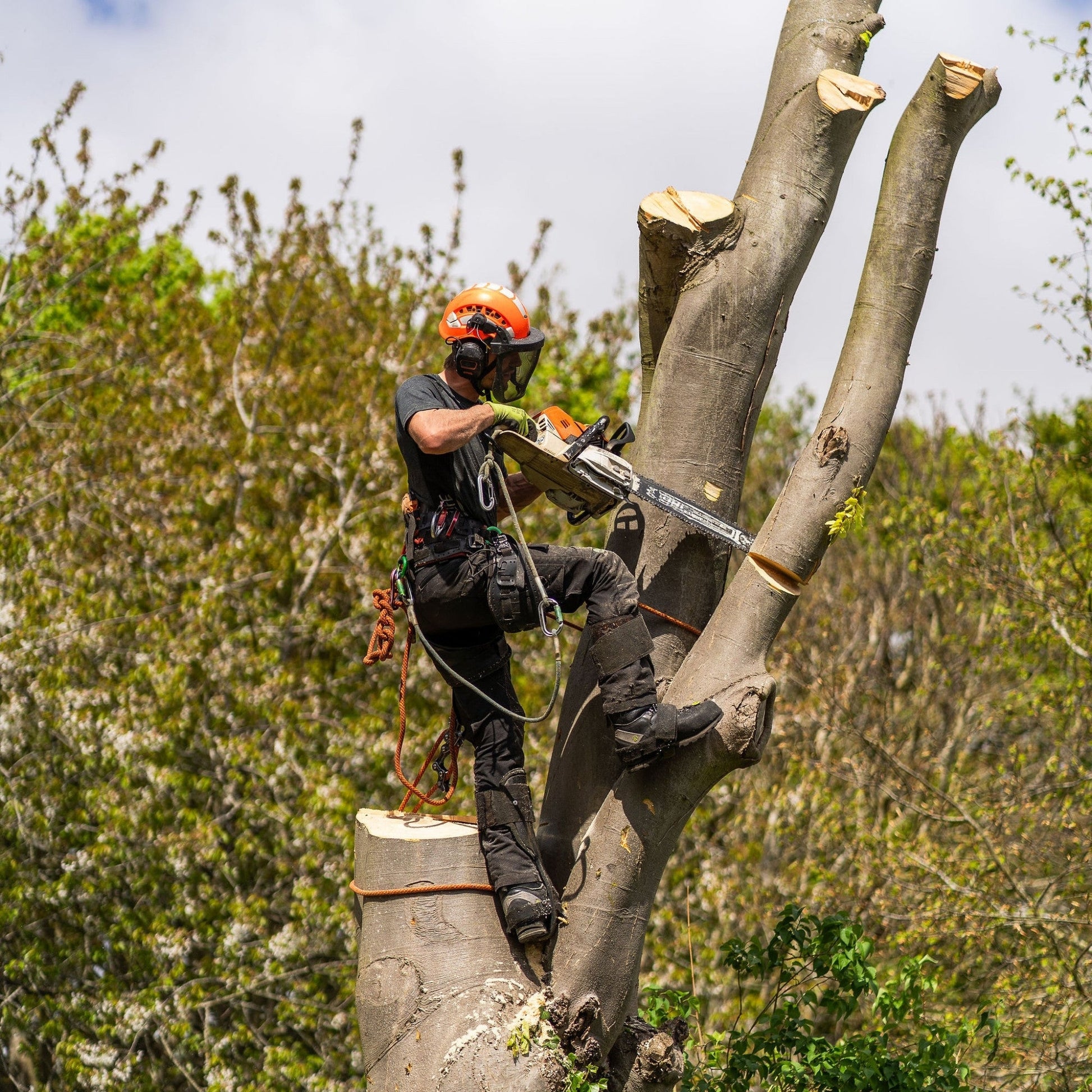 Freestyle Chainsaw Trousers Design C Class 1 - Black - AT4071 - Arbortec Forestwear