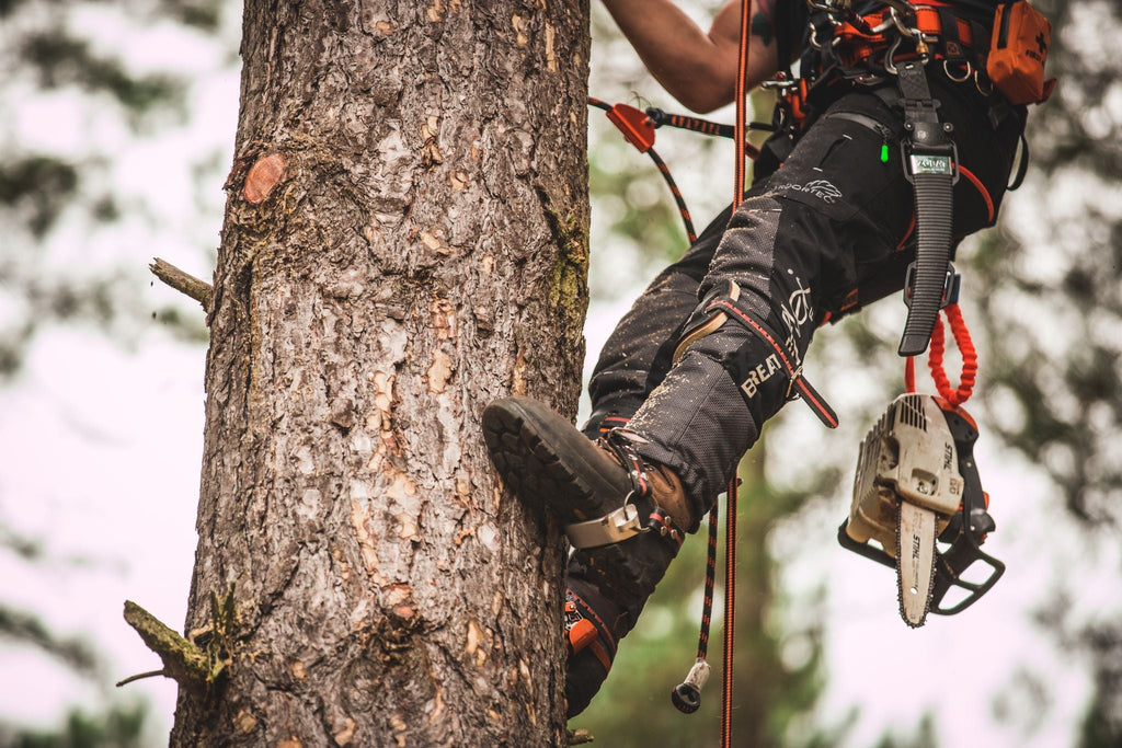 TH1003 Aluminum Tree Climbing Spikes - Arbortec Forestwear